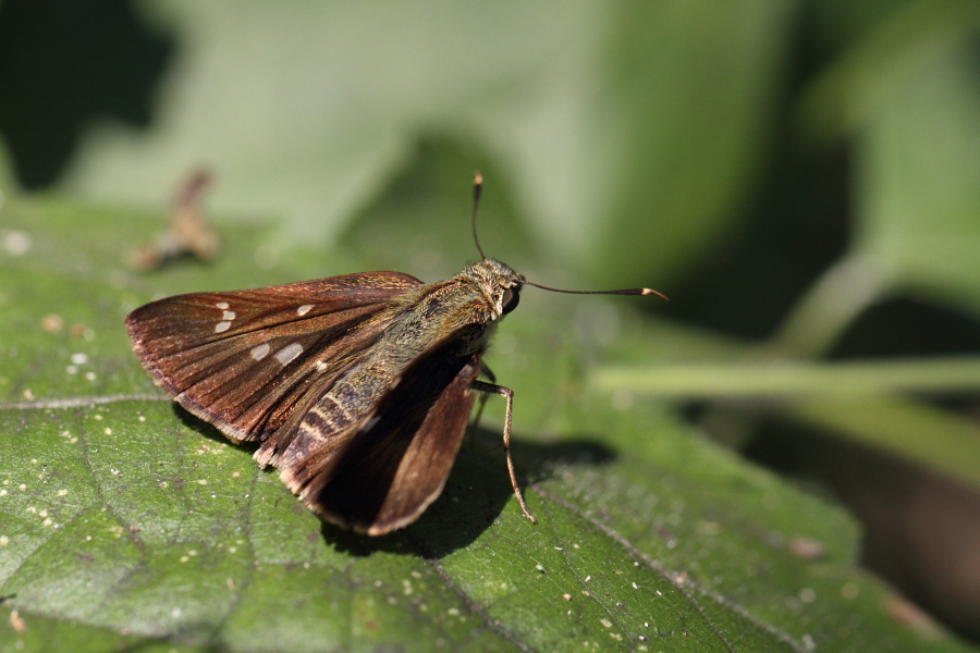 a0094850_14403760.jpg