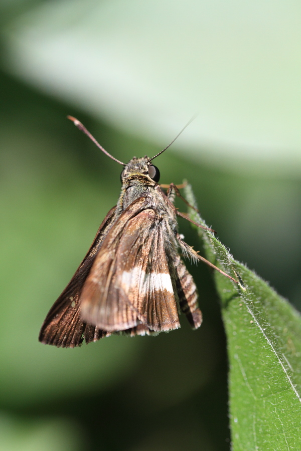 a0094850_14432113.jpg