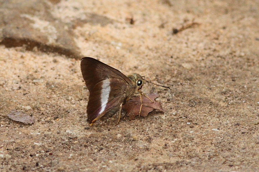 a0094850_1574090.jpg