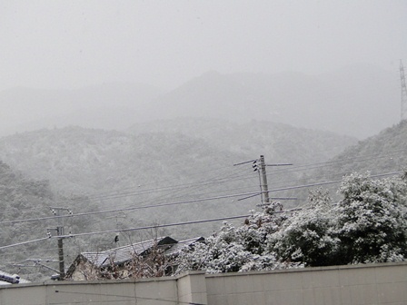 d0163550_18341481.jpg
