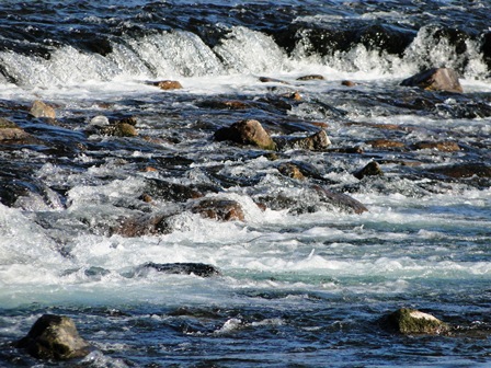 d0163550_18563543.jpg