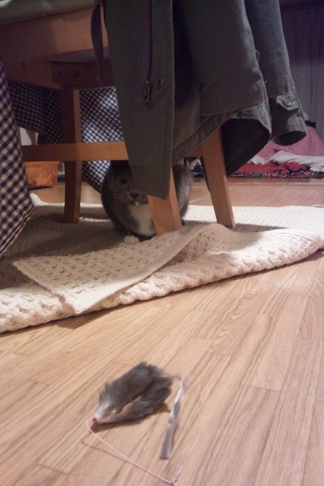 c0208352_1455081.jpg
