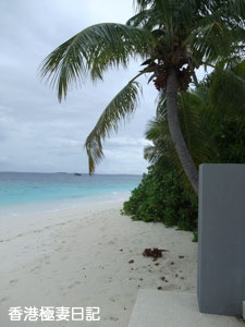 f0190653_11423531.jpg
