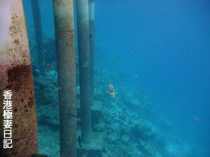 f0190653_21161895.jpg