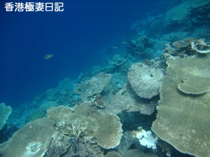 f0190653_21162263.jpg