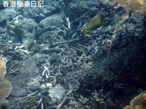 f0190653_21163817.jpg