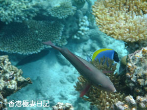 f0190653_21164489.jpg