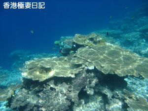 f0190653_21165036.jpg