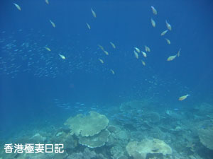 f0190653_21171035.jpg