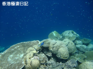 f0190653_21171692.jpg