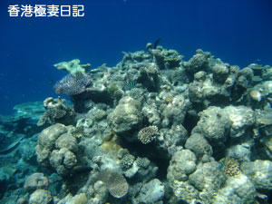 f0190653_21172937.jpg