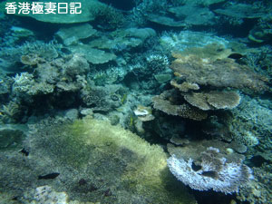 f0190653_21202369.jpg