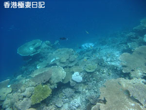 f0190653_21203560.jpg