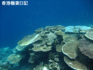 f0190653_2120967.jpg