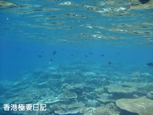 f0190653_2121198.jpg