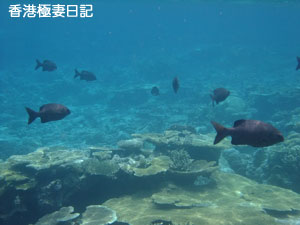 f0190653_2221232.jpg