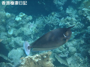 f0190653_2221792.jpg