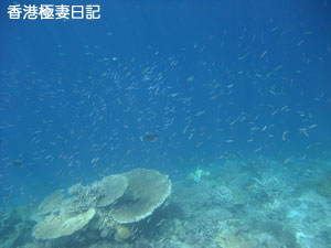 f0190653_2222129.jpg