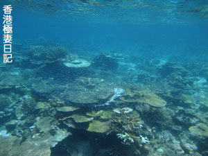 f0190653_2222599.jpg