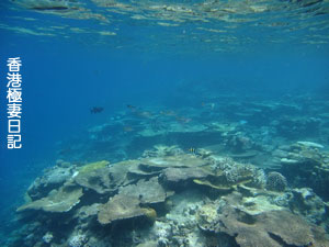 f0190653_2222977.jpg