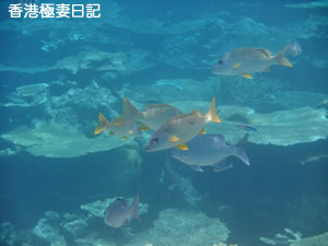 f0190653_2223330.jpg