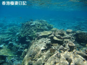 f0190653_2223663.jpg