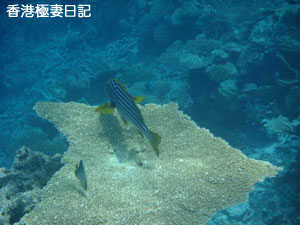f0190653_2223923.jpg