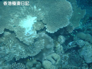 f0190653_222436.jpg