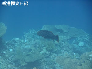 f0190653_2224645.jpg