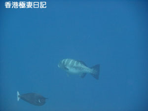 f0190653_222472.jpg
