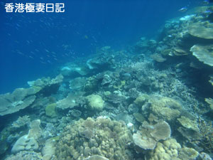 f0190653_2224965.jpg