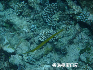 f0190653_22293.jpg