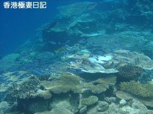 f0190653_2241956.jpg