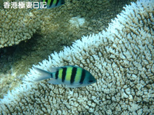 f0190653_22421121.jpg