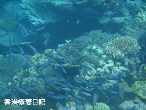 f0190653_224661.jpg