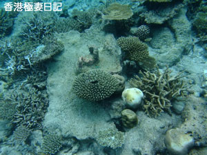 f0190653_2253912.jpg