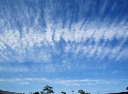 b0173754_13305665.jpg