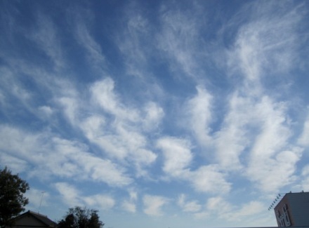b0173754_13311613.jpg