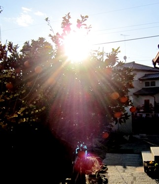 b0173754_13413599.jpg