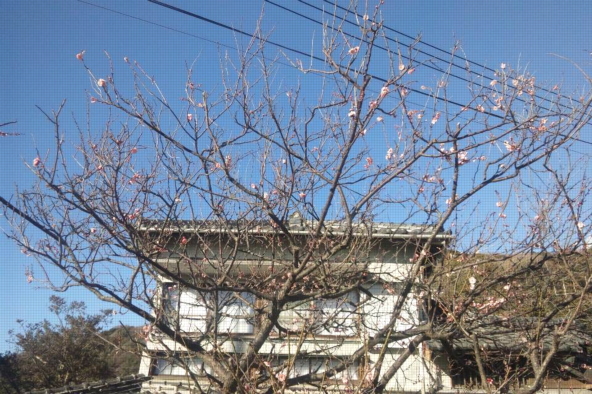 c0224154_10354051.jpg