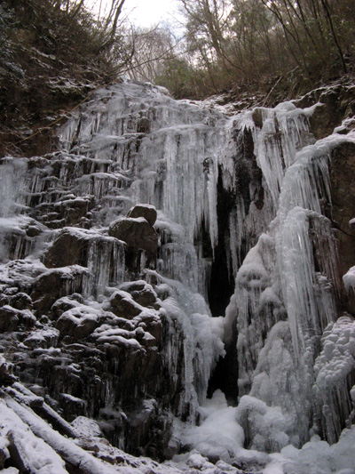 f0007956_10354356.jpg