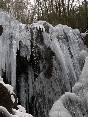 f0007956_10355341.jpg