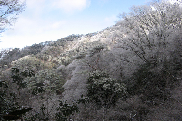 f0007956_10362579.jpg
