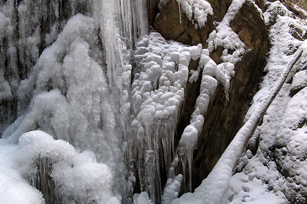 f0007956_1036454.jpg
