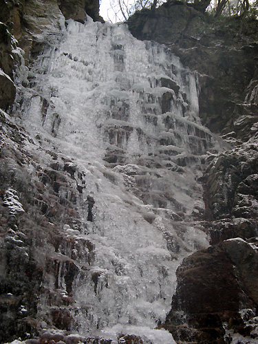 f0007956_10365818.jpg