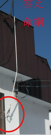 a0193457_205912100.gif