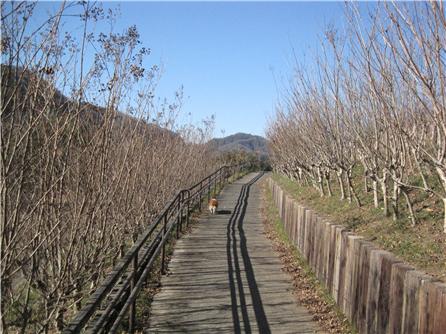 f0095265_2158408.jpg