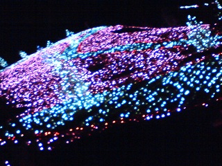 f0096569_7165772.jpg