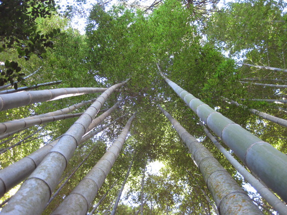 c0095273_1923727.jpg