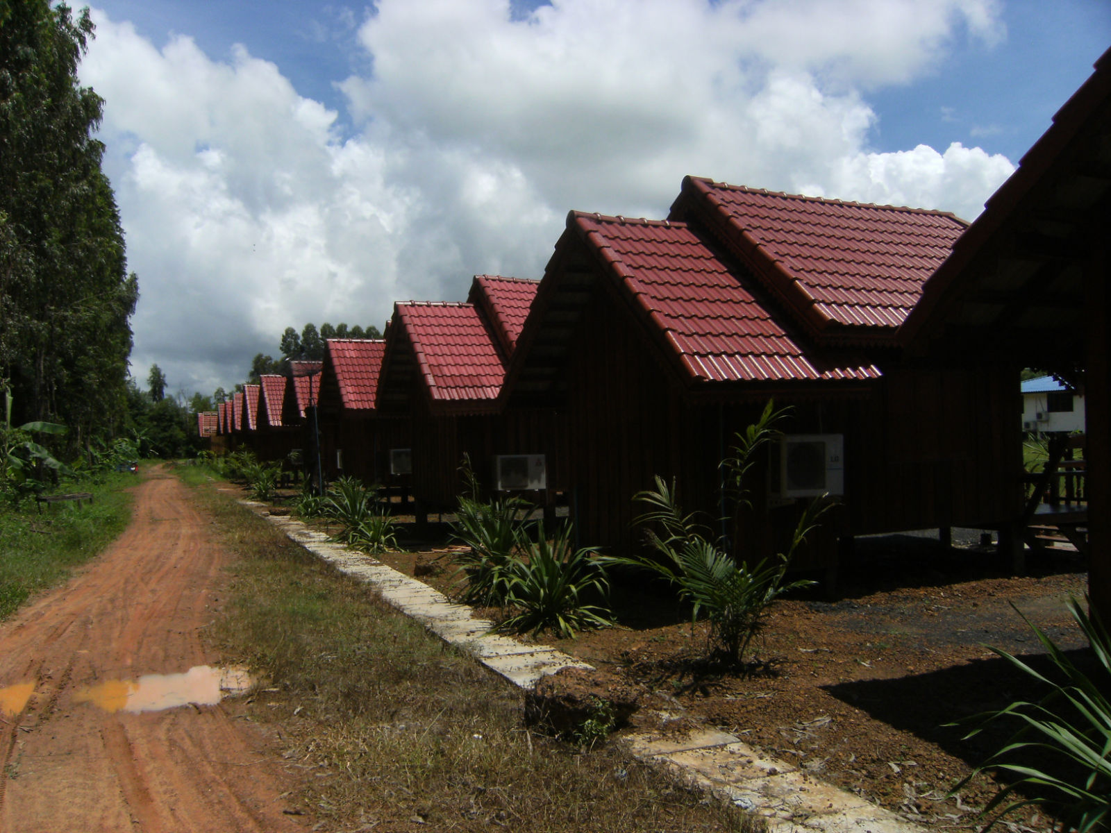 d0144077_2572433.jpg
